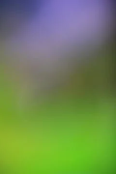 Abstract blurred background with soft transitions of green and purple tones Stock Photos