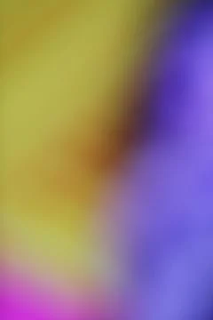 Abstract blurred background with soft yellow and purple gradient light tran.. Stock Photos