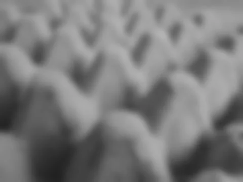 Abstract blurred background texture, black and white panel eggs paper image. Stock Photos