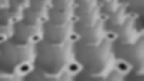 Abstract blurred background texture, black and white panel eggs paper image. Stock Photos