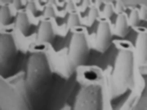 Abstract blurred background texture, black and white panel eggs paper. Stock Photos