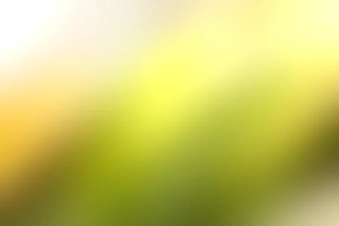 Abstract blurred background of the tree, yellow and black bokeh background among Stock Photos