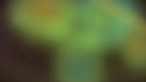 Abstract blurred background video with soft focus green brown and yellow co.. Stock Footage 345548818