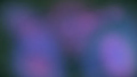 Abstract blurred background video with soft purple blue and dark green colo.. 库存影片 345548835