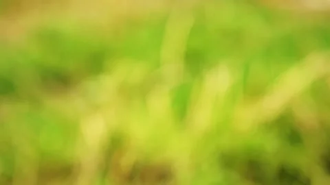 Abstract blurred background video where the camera rotates around its axis .. Stock Footage 305525115