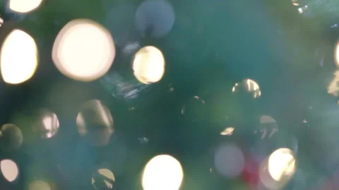 Abstract blurred blinking light in motion, sparkling light ornament on spruce Stock Footage 254587541
