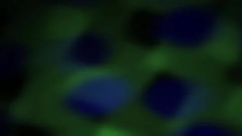 Abstract Blurred Blue Green Pixelated Digital Background. Stock Footage 345671877