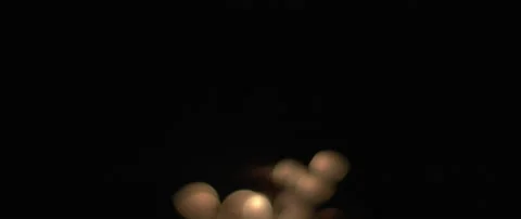 Abstract blurred bokeh of a sparkler burning down in the dark. Stock Footage 132962099
