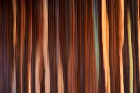 Abstract blurred carpet Stock Photos