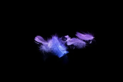 Abstract blurred feathers over black background Stock Photos