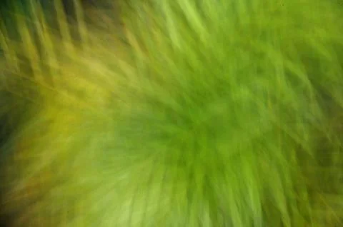 Abstract blurred flower background Stock Photos