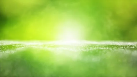 Abstract blurred glowing green shine nature with waves loop background Vidéo 341157747