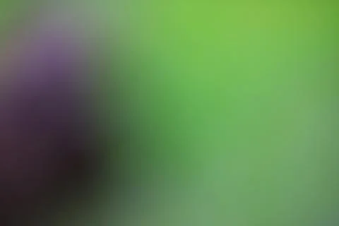 Abstract blurred gradient background with smooth color transition for creat.. Stock Photos