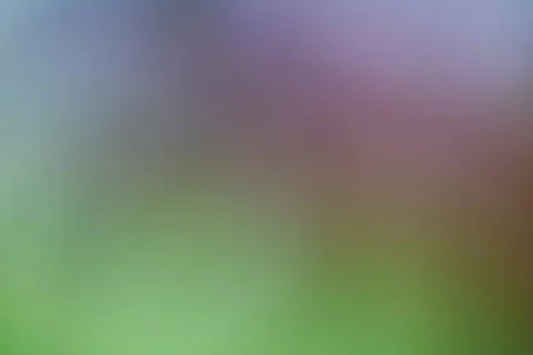 Abstract blurred gradient background with soft pastel hues for creative des.. Stock Photos