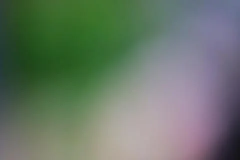 Abstract blurred gradient background with soft green and purple hues for cr.. Stock Photos