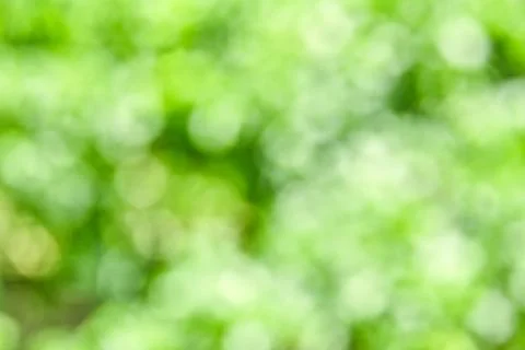 Abstract blurred green background Stock Photos