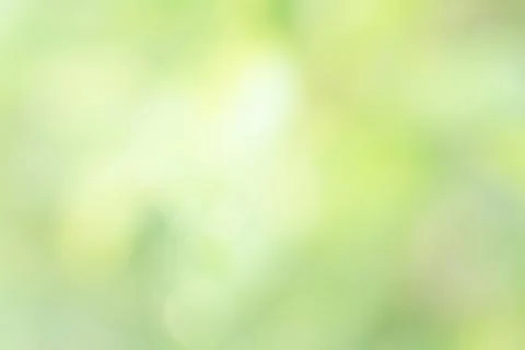 Abstract blurred green gradient background with light for graphic design Stock Photos