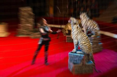 Abstract blurred image of circus performance Stock Photos