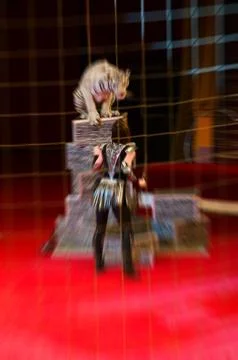 Abstract blurred image of circus performance Stock Photos