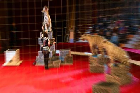 Abstract blurred image of circus performance Stock Photos