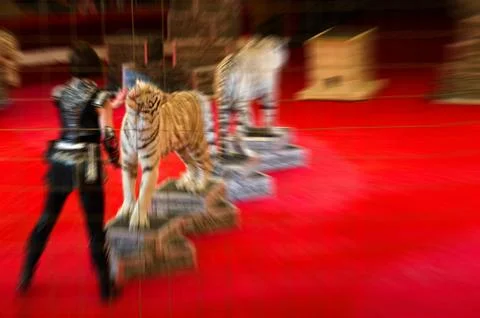 Abstract blurred image of circus performance Fotos de archivo