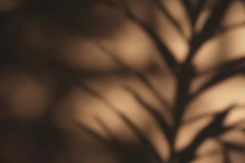 Abstract Blurred Leaf Shadow on Warm Brown Surface for Minimalist Organic B.. 스톡 사진