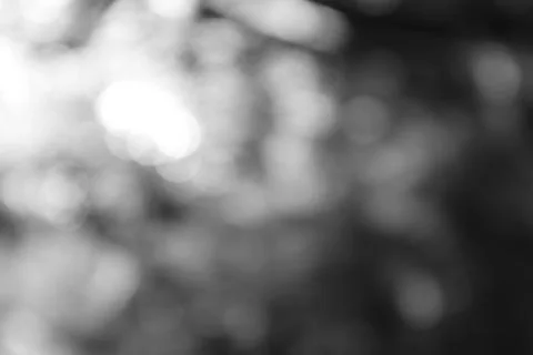 Abstract Blurred Light Background in Black and White Aesthetic Stock Photos