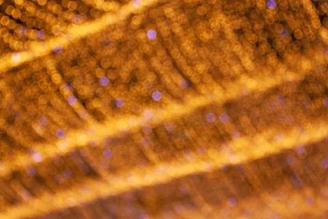 Abstract blurred light background. Stock Photos