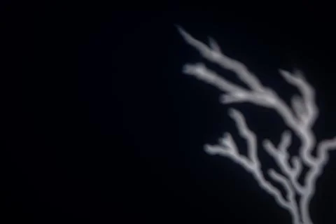 Abstract blurred light branches on dark background Foto stock