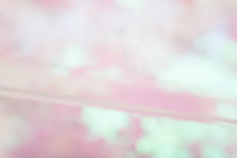 Abstract blurred light glitter background. Bright and colorful background. Stock Photos