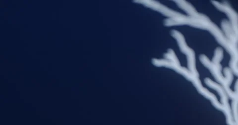 Abstract Blurred Light Streaks on Dark Background Vídeos de archivo 329546953