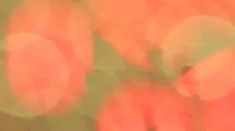 Abstract blurred lights - red and gold Stock Footage 10591369