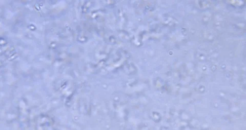 Abstract blurred motion of cells Stock Footage 91398521