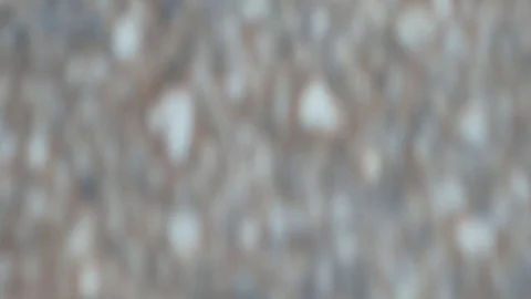 Abstract blurred moving background from people walk on the road Stock Footage 80828400