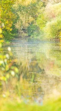 Abstract Blurred natural forest background with pond Stock Photos