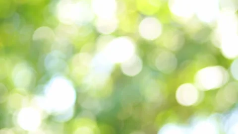 Abstract blurred nature background with bokeh Stock Footage 162658322