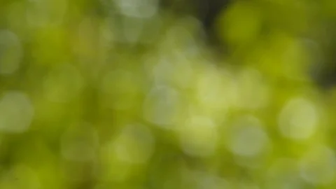 Abstract blurred nature background Stock Footage 127928627