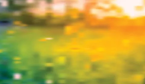 Abstract blurred nature background in vibrant yellow and green tones with soft Stock Illustration
