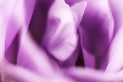 Abstract blurred pattern with flowers.. Stock Photos
