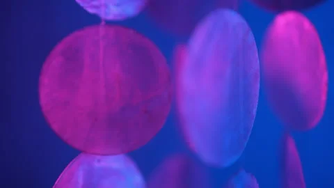 Abstract blurred purple gradient mesh background, decor with seashells Video stock 264299222