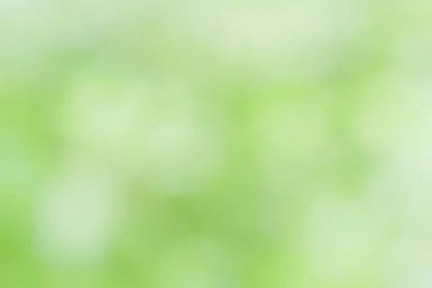 Abstract blurred soft focus of bright green color backgrounds Stock Photos