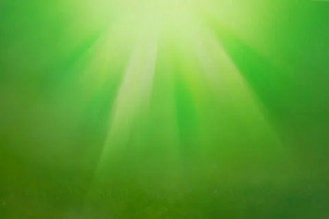Abstract blurred spring or summer background and sunlight. Stock Photos