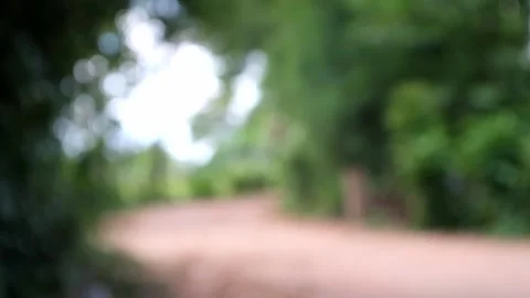 Abstract blurred tree lights bokeh background, Glittering background, Moving foc Stock Footage 232291682