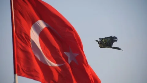 Abstract Blurred Turkish Flag with a Kite at Foreground in Slow Motion Stock-Footage 121008581