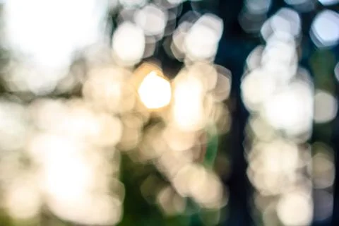 Abstract blurry bokeh background Photos