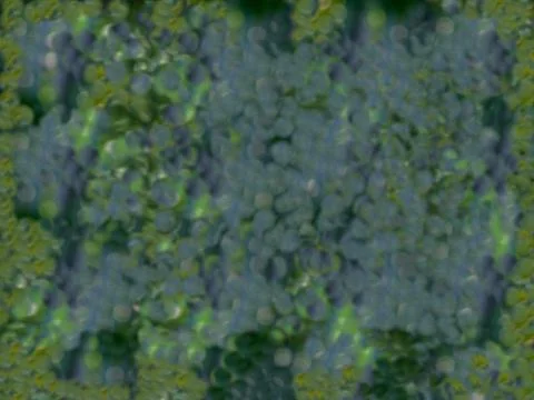Abstract  blurry green grass background Ilustración de archivo