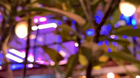 Abstract blurry night lights behind plant leaves bokeh Stock Footage 340580905