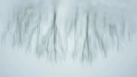 Abstract Blurry Reflection of Trees in Water Ripple - Background Stock Footage 323048705