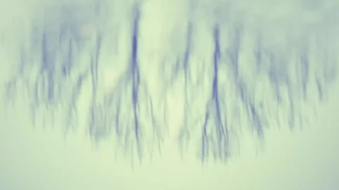 Abstract Blurry Reflection of Trees in Water Ripple - Vintage Color - Background Stock Footage 323048711