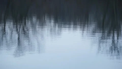 Abstract Blurry Reflection of Trees in Water - Painterly Nature Background Stock Footage 323048724